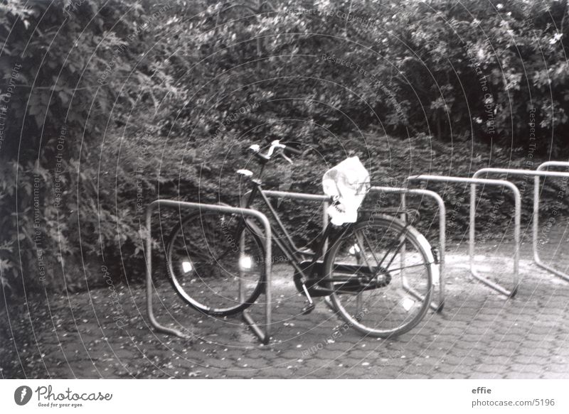 on one's own Bicycle Things Loneliness Black & white photo Academic studies Shadow