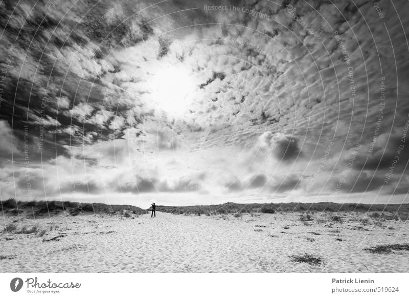 dune hangover Human being Masculine Body 1 45 - 60 years Adults Environment Nature Elements Sand Air Sky Clouds Sun Sunlight Weather Beautiful weather Wind