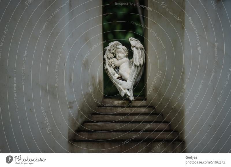 Putto with wings on a tombstone Tombstone Cemetery Grave Stone Death Grief Exterior shot Deserted Transience Calm Sadness Religion and faith Colour photo