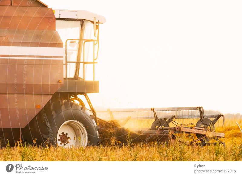 Combine Harvester Working In Field. Harvesting Of Wheat In Summer Season. Agricultural Machines Collecting Wheat Seeds harvest agricultural agriculture agronomy