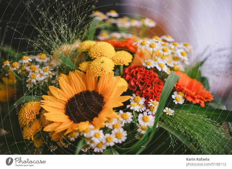 bouquet Bouquet Sunflower Flower Colour photo Yellow Decoration Summer Plant Close-up Interior shot Blossoming Style Design Nature Leaf