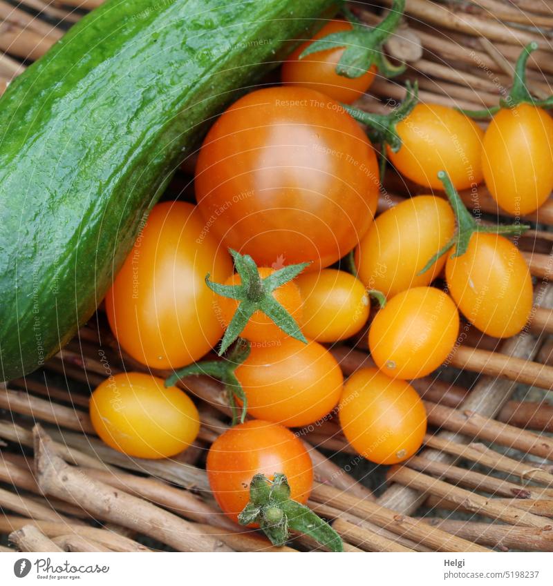 own harvest - freshly harvested tomatoes and cucumber in a wicker basket Cucumber Harvest Summer Fresh salubriously Fruit Wicker basket Delicious Nutrition Food