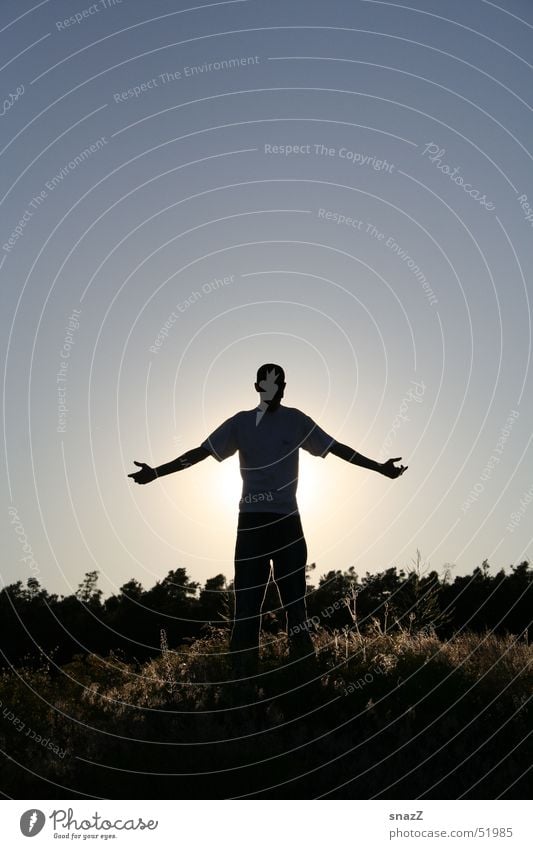 Be Free. . . Deities Portrait photograph Grass Man Forest Beautiful Lighting Responsibility Religion and faith God snazz Freedom Graffiti Bright Sky Sun Arm