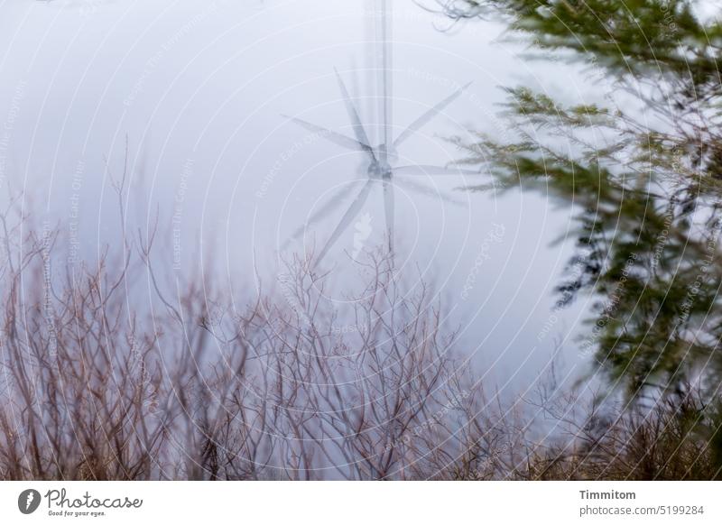 Let your thoughts run free at this lake... Lake Moor lake blind lake Mysterious multiple exposure Water Reflection Twigs and branches Pinwheel Free fantasy