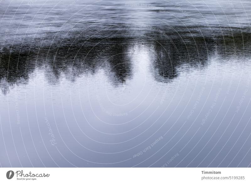 Power place - lake in the Black Forest Lake Water Ice Frozen surface Winter Cold Blue Dark trees Reflection in the water Calm vigorous multiple exposure