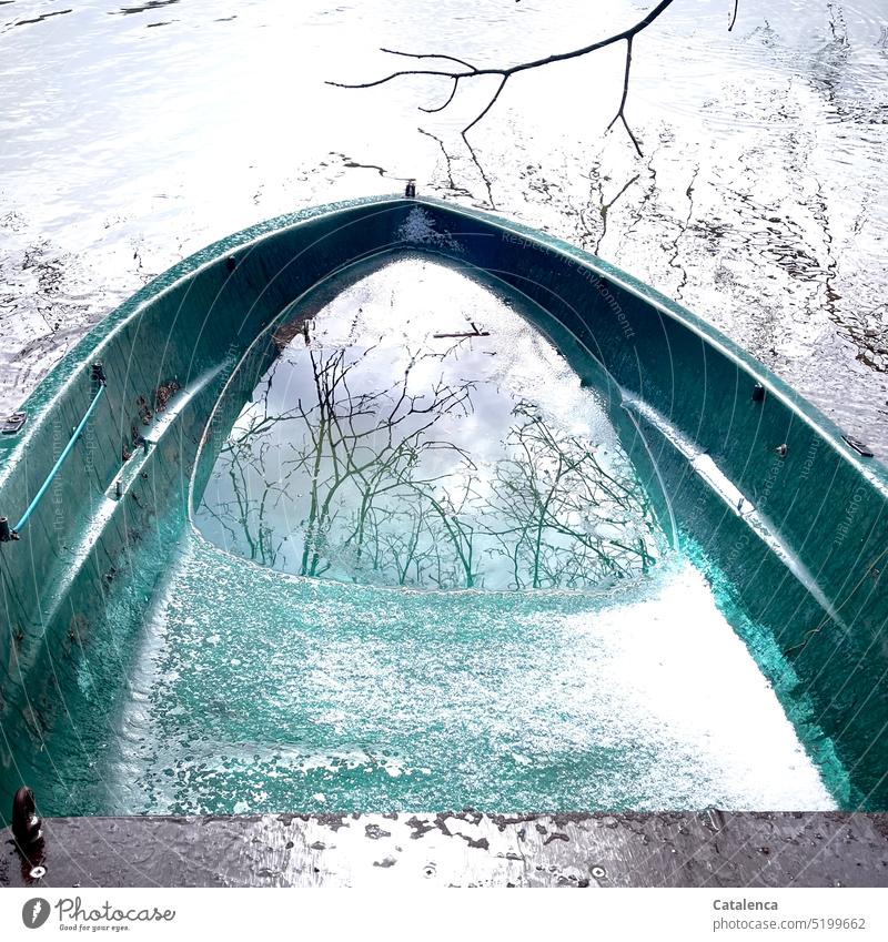 Bare winter branches reflected in the water of the rowboat and the lake daylight Day Gray Green Wet Season Winter Cold Tree Winter's day Weather Exterior shot