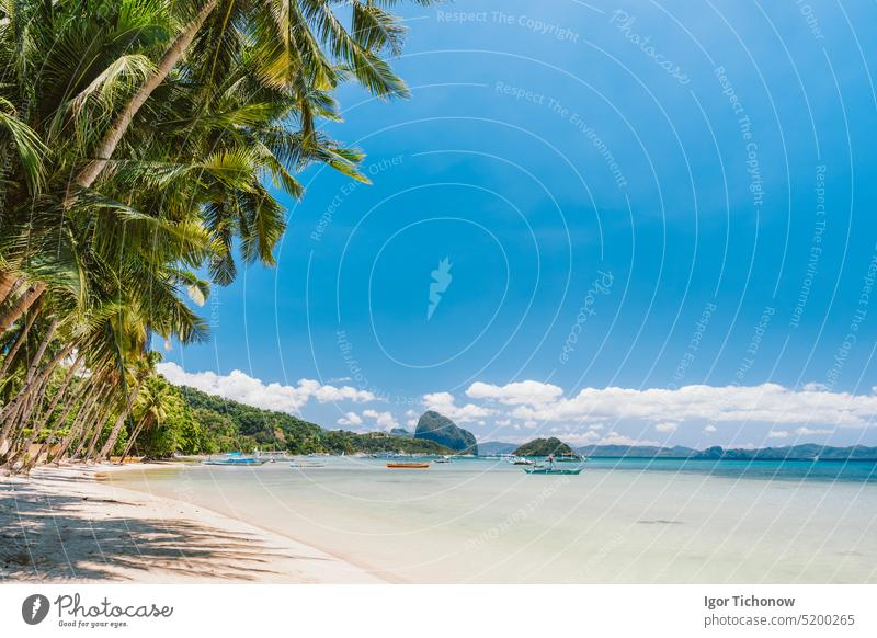 Palm trees of Corong Corong beach with traditional boats and blue sky in El Nido, Palawan island, Philippines travel corong palawan outdoor philippines