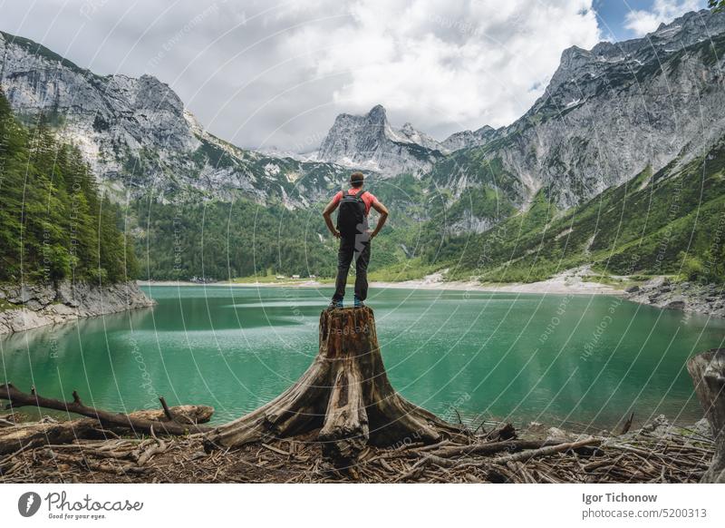 Man traveler standing on tree stump ejoying view of Dachstein peak mountains on a Upper Gosau Lake. Gosau, Salzkammergut, Austria, Europe gosau europe man