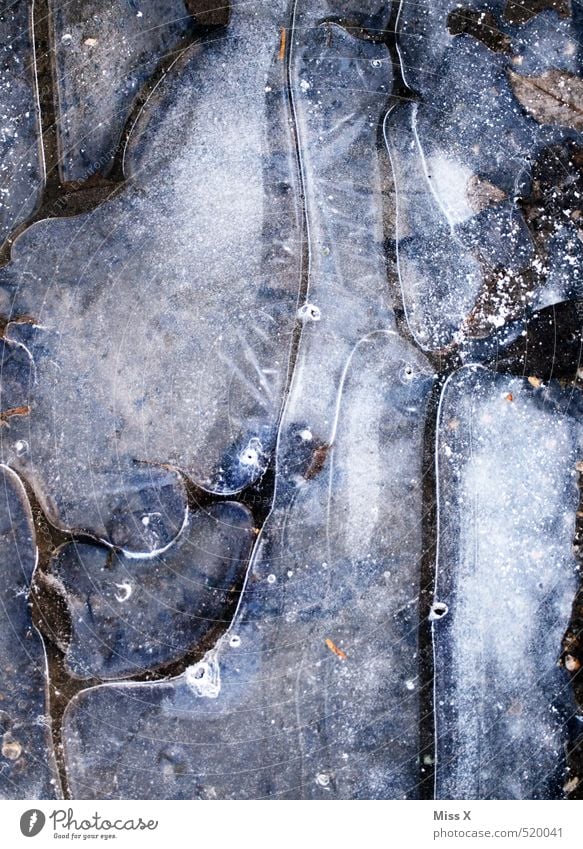 ice age Air Water Winter Ice Frost Snow Cold Puddle Frozen Air bubble Surface of water Black & white photo Subdued colour Exterior shot Close-up Detail Pattern