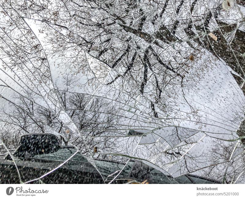 mirror shards Mirror Reflection Mirror image reflection Exterior shot Tree Sky Car