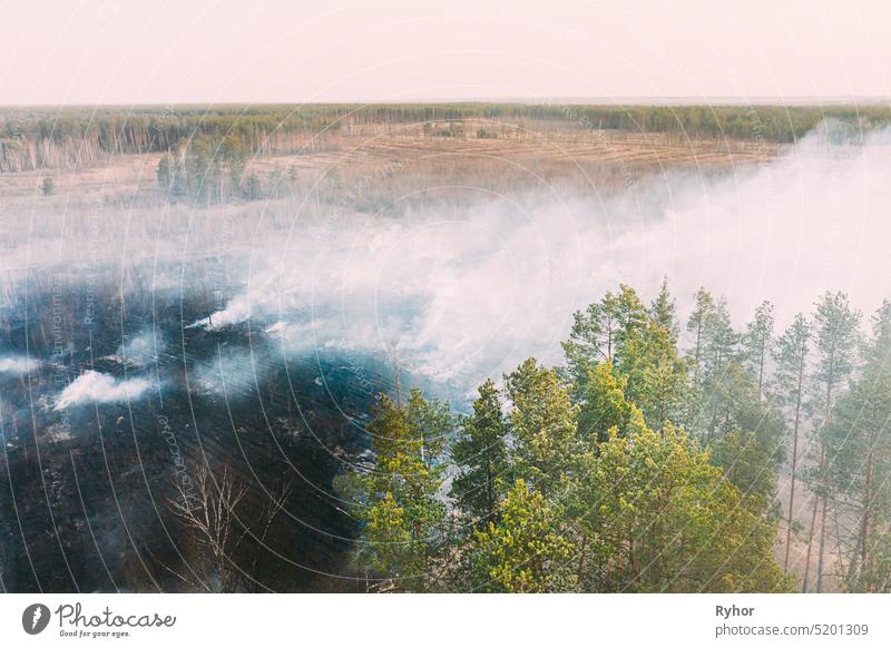 Aerial View. Spring Dry Grass Burns During Drought Hot Weather. Bush Fire And Smoke In Deforestation Zone. Wild Open Fire Destroys Grass. Nature In Danger. Ecological Problem Air Pollution