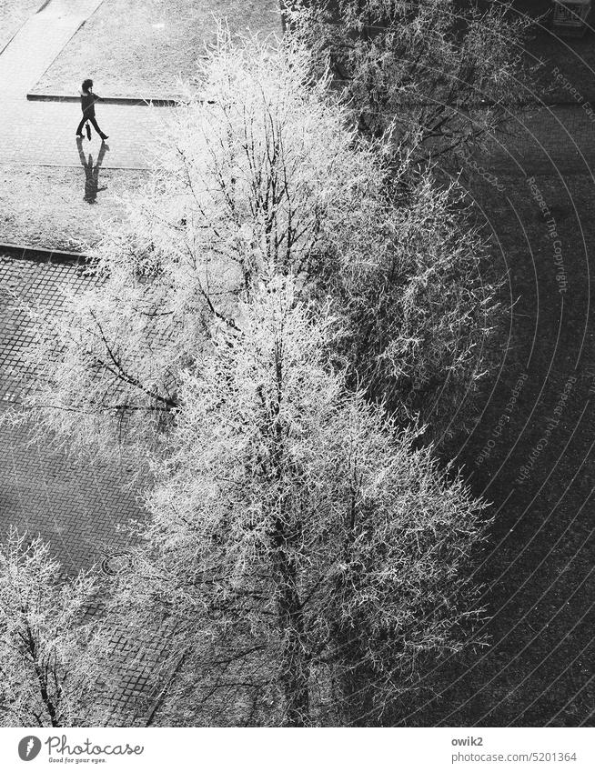 Coming and going Landscape Nature Environment Human being To go for a walk Black & white photo Promenade Winter Exterior shot Lonely person feminine Woman