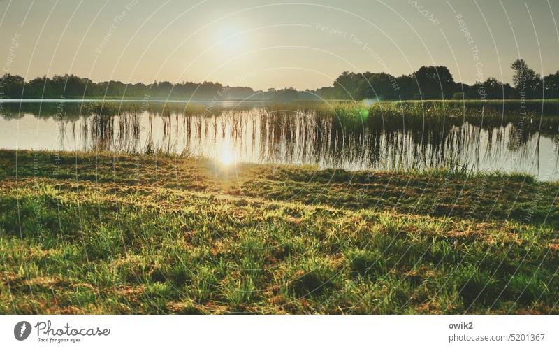 ÷ Body of water bank Lake Surface of water Area reflection Contrast Pond silent Copy Space top Copy Space bottom Growth Far-off places