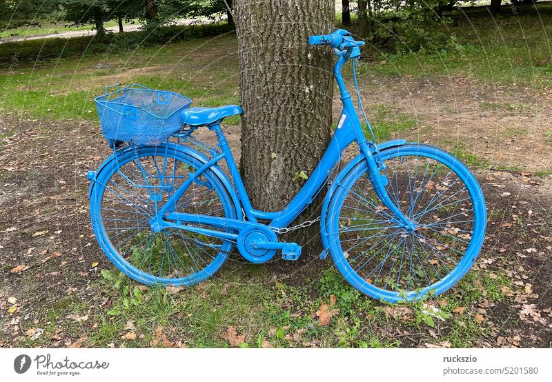 Colorful bicycles, art Flashy Ghost wheels Bicycle gear wheel Adorned Jewellery Fence Fenced in Stand variegated Colour Design Art plastic Art parade publicity