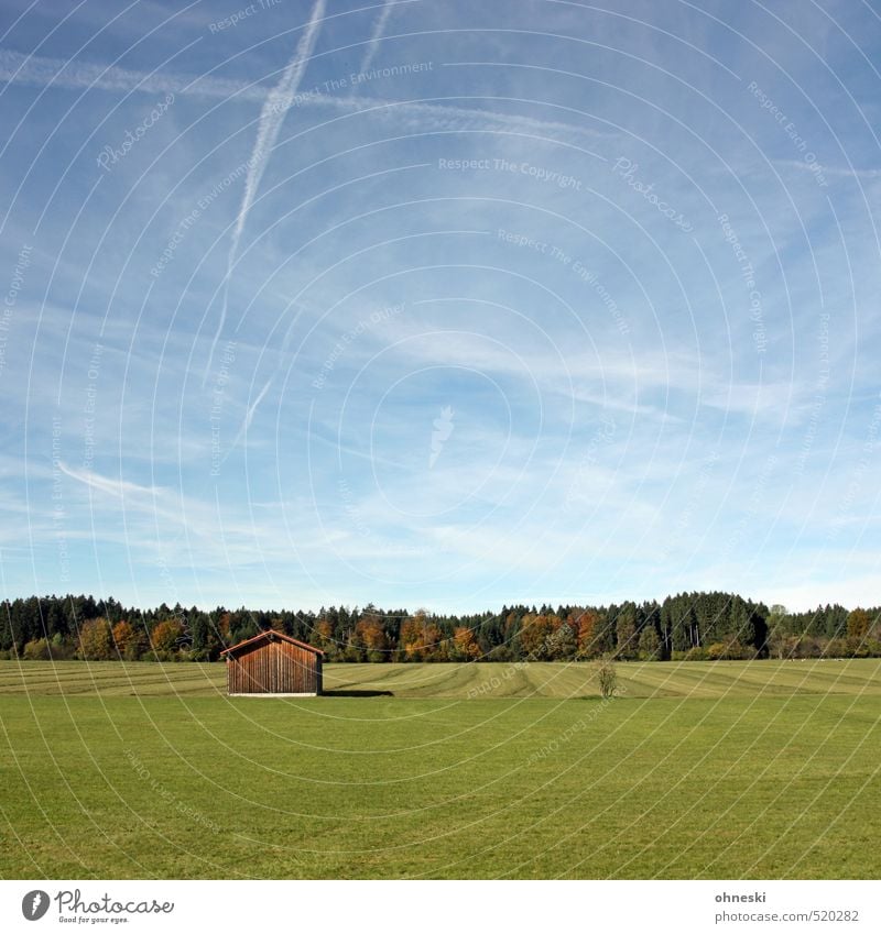 The meadow is green Nature Landscape Sky Autumn Beautiful weather Grass Meadow Field Forest Pasture Hut Natural Relaxation Freedom Calm Colour photo