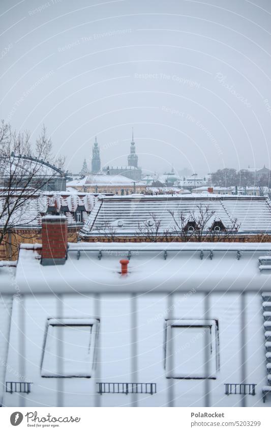 #A0# Dresden in winter white dresden-neustadt Winter Heat Town Building roofs rooftop landscape Architecture Downtown Sky Hofkirche Dresden Hofkirche Old town