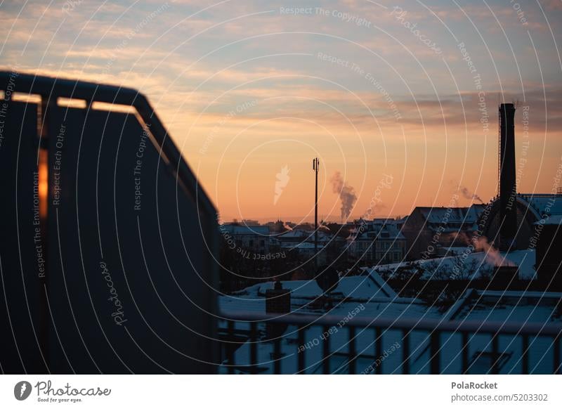 #A0# Dresden in winter white dresden-neustadt Winter Heat Town Building roofs rooftop landscape Architecture Downtown Sky Hofkirche Dresden Hofkirche Old town