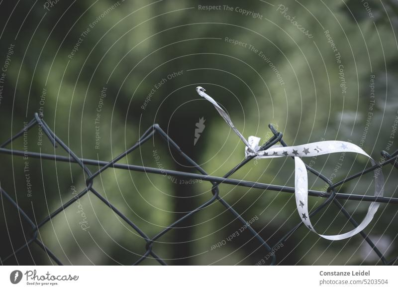 White ribbon with star print knotted to a garden fence. Fence Gift wrapping Knot mark Green Bow Surprise Wire netting fence asterisk Deserted