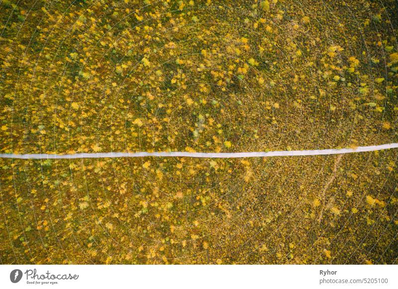 Miory District, Vitebsk Region, Belarus. The Yelnya Swamp. Aerial View Of Yelnya Nature Reserve Landscape. Narrow Wooden Hiking Trail Winding Through Marsh. Cognitive Boardwalk Trail Over A Wetland