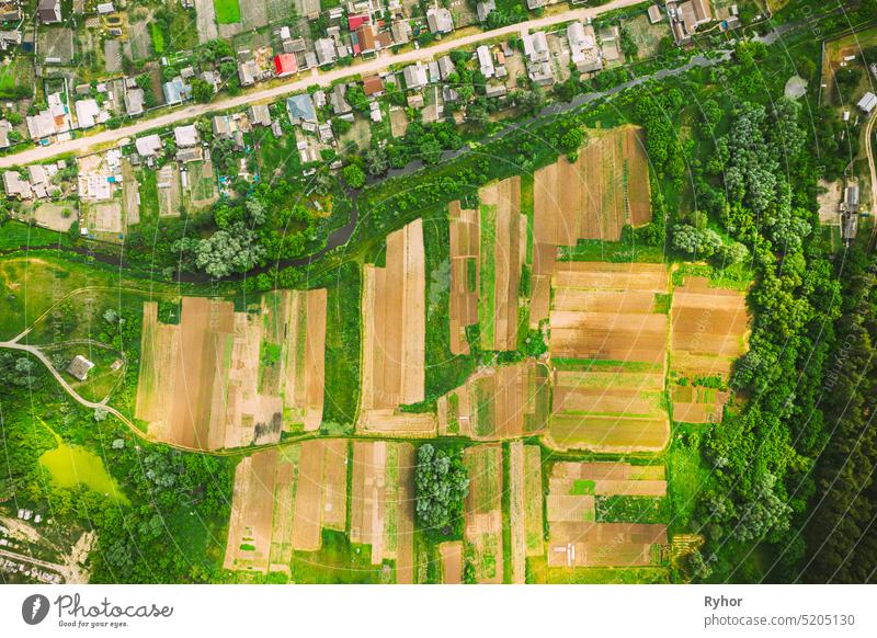 Aerial View Of Vegetable Gardens In Small Town Or Village. Skyline In Summer Evening. Village Garden Beds In Bird's-eye View street vegetable garden house