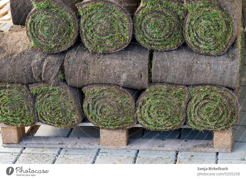 Turf on the pallet roll Garden Gardening Lay turf Roll Grass Green Spring Gardener garden design Horticulture galabau landscaping Market garden Garden service