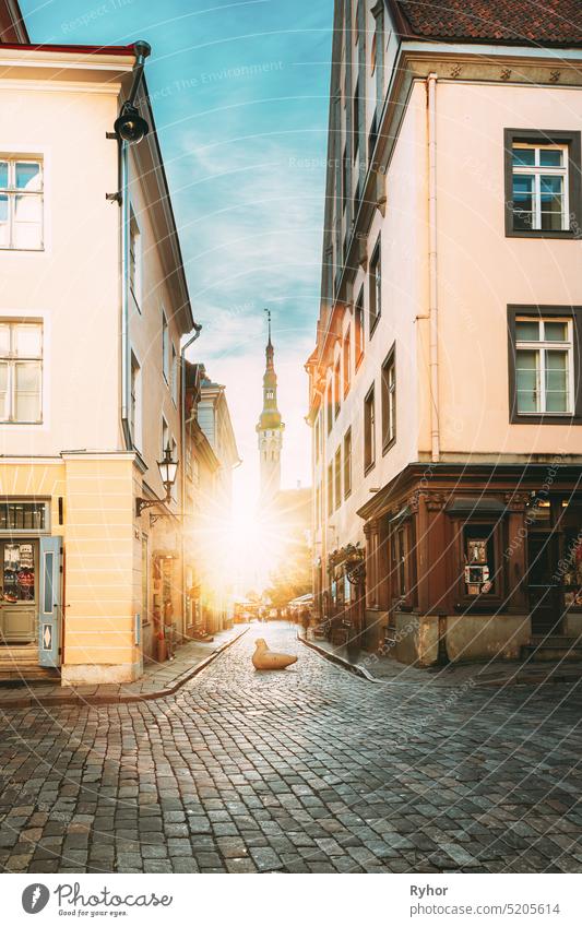 Tallinn, Estonia. Famous Old Traditional Town Hall In Sunny Evening. Sun Shining Through Old Town Narrow Streets. Famous Landmark And Popular Place. Destination Scenic. UNESCO World Heritage Site. Popular And Famous Place