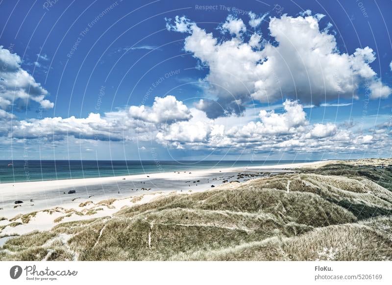 Clouds against blue sky at Jammer Bay Sandy beach coast Beach Summer Sun dune landscape Vacation & Travel Nature Landscape duene Relaxation Sky Ocean dunes