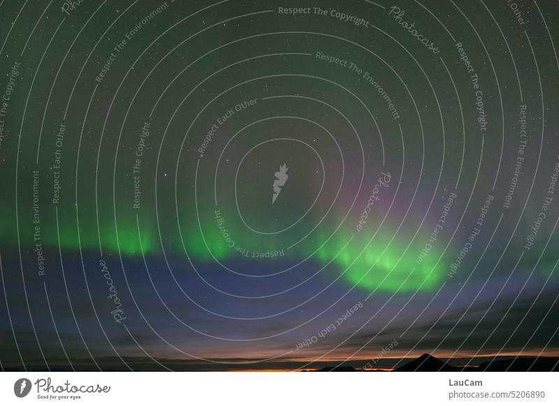 The Big Dipper in the Aurora Borealis aurora polaris Big car Night sky Illuminate Green purple Horizon Sky aurora borealis Light (Natural Phenomenon) north