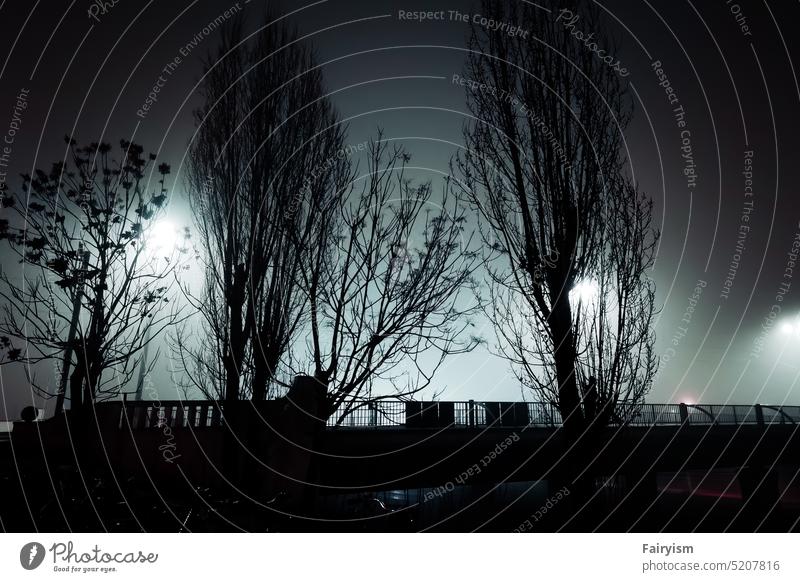 silhouettes of trees in the dusty night city urbanity urban life Light and shadow Light (Natural Phenomenon) Fine Art Night mood Night light Night shot