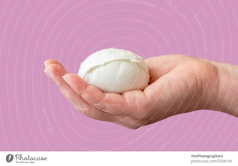 Mozzarella ball in woman hand against a purple background appetizer bright bufala buffalo burrata calcium cheese close-up color concept copy space cuisine