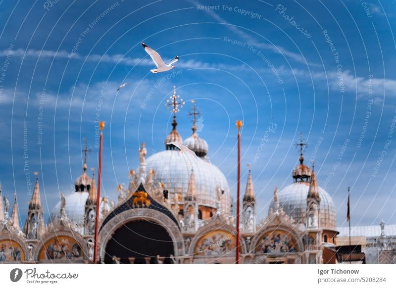 Piazza San Marco Saint Mark Square with Basilica di San Marco. Roof architecture details with flying seagull bird against blue sky in Venice,Italy. Tourist attraction, summer city trip