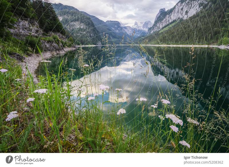 Beautiful mountain Gosau lake and Dachstein peaks, Austria austria dachstein gosau mountains nature landscape travel alps water view tourism reflection outdoor