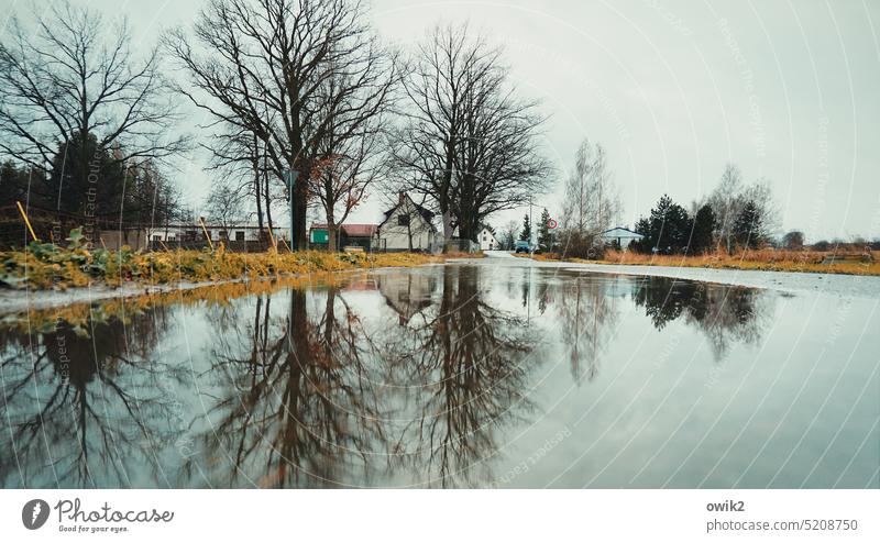 alluvial land Village houses Village road Puddle Lake reflection Water reflection Mirror image water level Surface of water Reflection Air Village idyll Wet