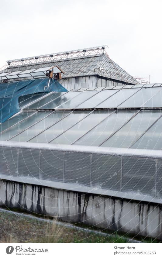 greenhouse Greenhouse Extend glass house Agriculture Vegetable Nutrition Food Growth Fragile Glass Glas facade Gardening opaque botanical Botanical gardens