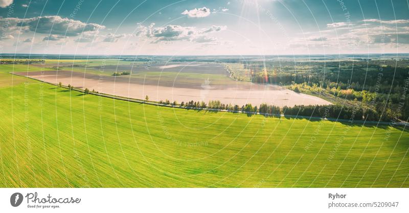 Countryside Rural Green Field Landscape With Young Wheat Sprouts In Spring Summer Cloudy Day. Agricultural Field. Young Wheat Shoots. Aerial View aerial