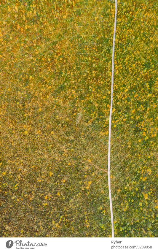 Miory District, Vitebsk Region, Belarus. The Yelnya Swamp. Aerial View Of Yelnya Nature Reserve Landscape. Narrow Wooden Hiking Trail Winding Through Marsh. Cognitive Boardwalk Trail Over A Wetland