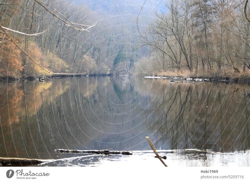 Idyllic river Enz near Untermberg near Ludwigsburg enz River Unterriexingen Nature Brook River course idyllically foggy mirror reflection tranquillity