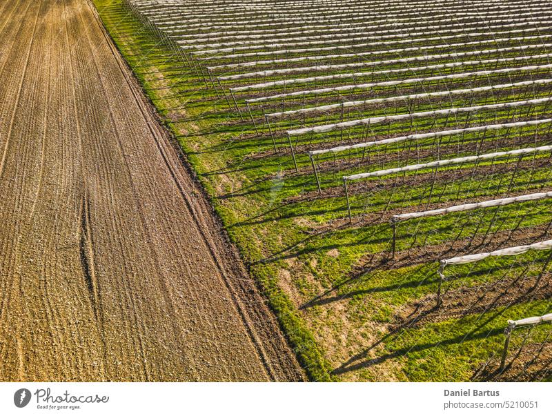 Aerial view of orchard with apple trees during sunset. The fields are covered with a hail net. Beautiful outdoor countryside scenery from the drone view. Lots of flowering plants and trees. Autumn