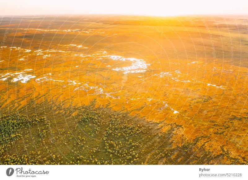 Miory District, Vitebsk Region, Belarus. The Yelnya Swamp. Upland And Transitional Bogs With Numerous Lakes. Elevated Aerial View Of Yelnya Nature Reserve Landscape. Famous Natural Landmark