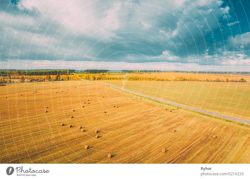 Aerial View Of Autumn Hay Rolls Straw Field Landscape. Haystacks, Hay Rolls. Harvest Season beautiful field scene roll summer countryside park land aerial view