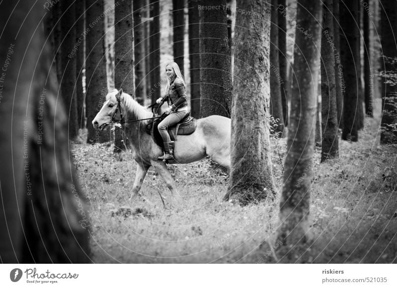 forays through the forest Feminine Young woman Youth (Young adults) Woman Adults Life 1 Human being 18 - 30 years Environment Nature Autumn Beautiful weather