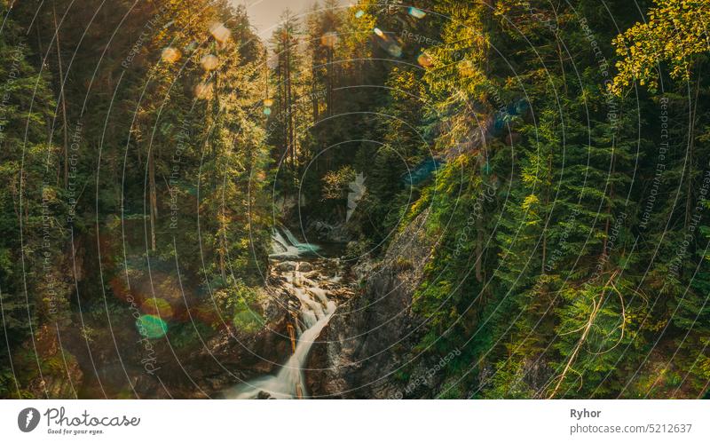 Tatra National Park, Poland. Waterfall Wodogrzmoty Mickiewicza In Summer Mountains Sunset Landscape. Sunlight Through Trees In Tatras. European Nature. UNESCO