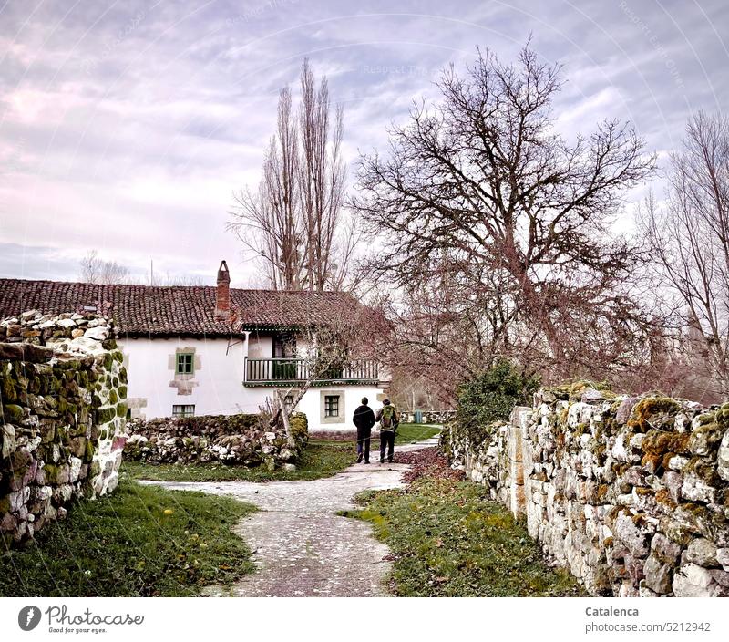 A walk through the village Gray Blue silent Peaceful Calm Street House (Residential Structure) Building Nature Village Clouds Day daylight Sky Environment trees