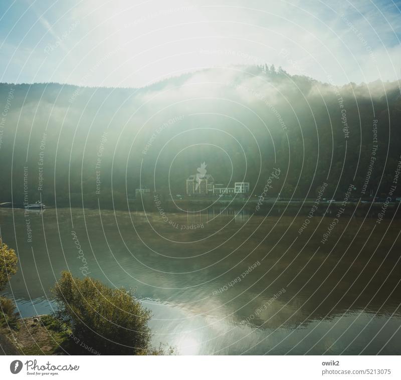 Middle Moselle Traben-Trarbach Rhineland-Palatinate Mosel (wine-growing area) River Water Water reflection Surface of water Exterior shot windless Nature