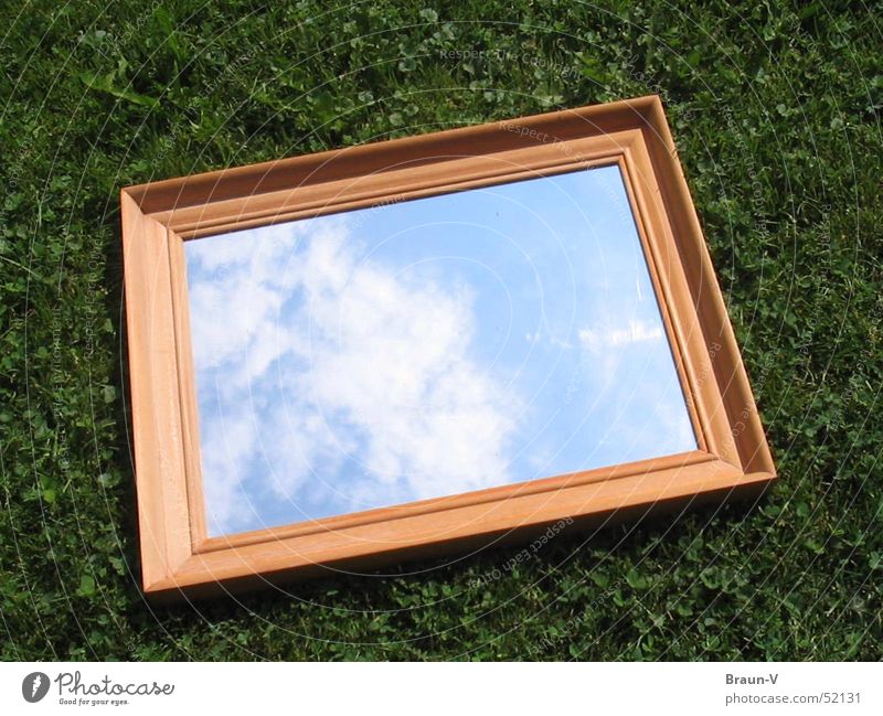 mirror meadow Mirror Clouds Meadow Grass Sky Frame