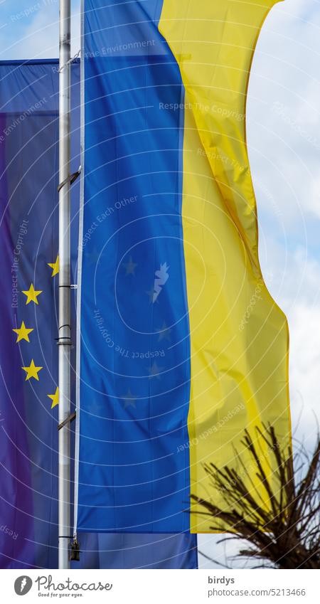 Ukraine flag and EU flag flying side by side in the wind European Union Politics and state European flag Wind Ukraine war Candidate Politics & State