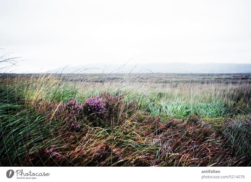 Burren II, Ireland 08.2018 Landscape Nature coast Rock Exterior shot Day Sky Copy Space top Colour photo wide karst landscape National Park wildlife