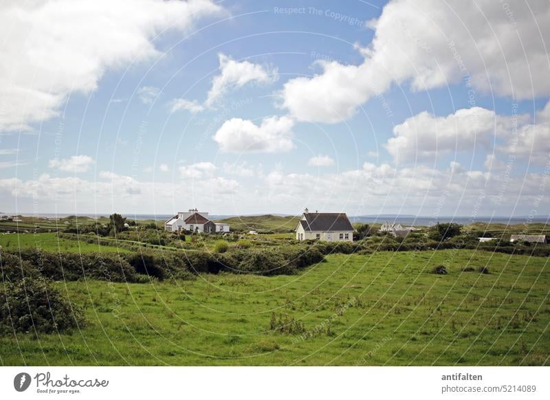 Idyll, Ireland August 2018 Landscape Nature Exterior shot Day Clouds Sky Copy Space top Colour photo wide National Park wildlife wildlife photography