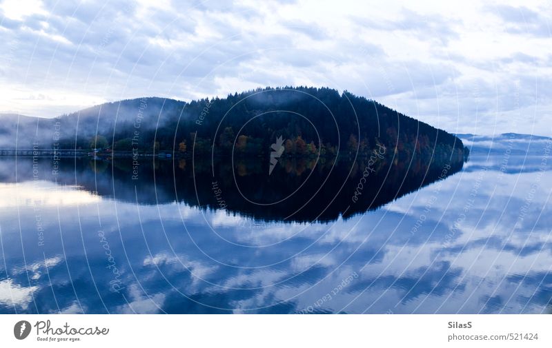 Schluchsee the Second Nature Water Sky Clouds Autumn Fog Tree Forest Hill Lake Blue Brown Yellow Gold Green Colour photo Exterior shot Deserted Evening