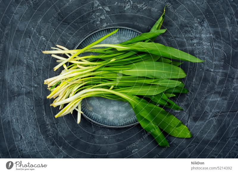 Ramson, bunch of wild garlic ramson leaf raw herb seasonal bear leek plant food allium ursinum green healthy ingredient fresh medical plants vegetable spring